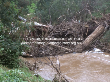 Photograph - Digital Photograph, Carlota Quinlan, Diamond Creek in flood, Diamond Creek Trail, Eltham South, 17 Oct 2021