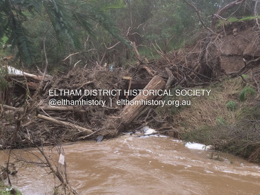 Photograph - Digital Photograph, Carlota Quinlan, Diamond Creek in flood, Diamond Creek Trail, Eltham South, 17 Oct 2021