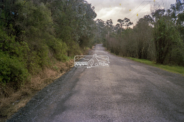 Negative - Photograph, Eltham Shire Council, Unidentified road, Eltham district, c.1985
