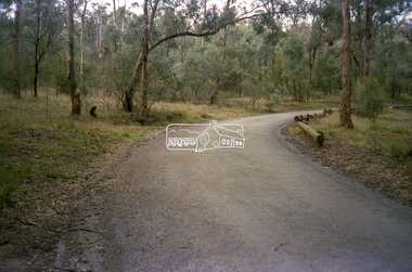 Negative - Photograph, Eltham Shire Council, Unidentified road, Eltham district, c.1985