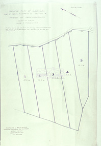 Slide - Photograph, Eltham Shire Council, Tentative plan of subdivision, part of Crown Allotment 22, Section B, Parish of Greensborough, County of Evelyn, 1969