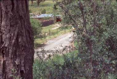 Slide - Photograph, Eltham Shire Council, Unidentified rural road within the Shire of Eltham, c.Nov. 1980