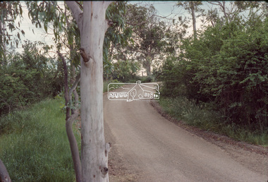 Slide - Photograph, Eltham Shire Council, Unidentified rural road within the Shire of Eltham, c.Nov. 1980