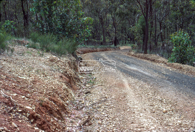 Slide - Photograph, Eltham Shire Council, Unidentified rural road within the Shire of Eltham, c.Nov. 1980