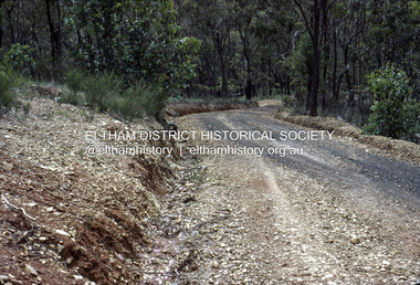Slide - Photograph, Unidentified rural road within the Shire of Eltham, c.Nov. 1980
