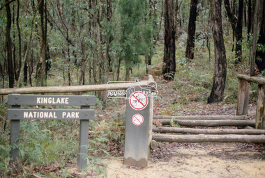 Slide - Photograph, Kinglake National Park, c.May 1988