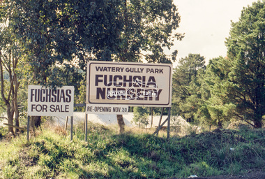 Slide - Photograph, Watery Gully Park Fuchsia Nursery, Wattle Glen, c.May 1988