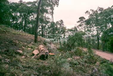 Slide - Photograph, Unidentified rural scene, possibly Research / Kangaroo Ground district, c.May 1988