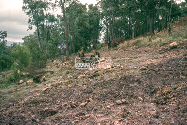 Slide - Photograph, Unidentified rural scene, possibly Research / Kangaroo Ground district, c.May 1988