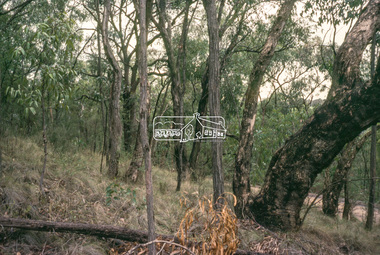 Slide - Photograph, Unidentified rural scene, possibly Research / Kangaroo Ground district, c.May 1988