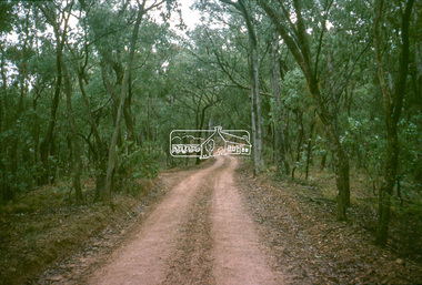 Slide - Photograph, Unidentified rural scene, possibly Research / Kangaroo Ground district, c.May 1988
