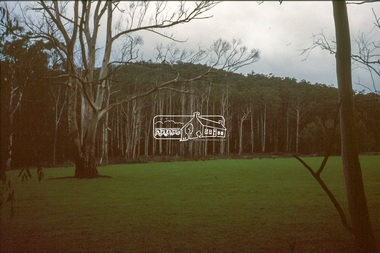 Slide - Photograph, Unidentified rural scene, possibly Research / Kangaroo Ground district, c.May 1988