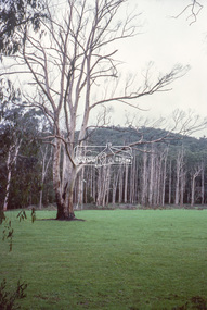 Slide - Photograph, Unidentified rural scene, possibly Research / Kangaroo Ground district, c.May 1988