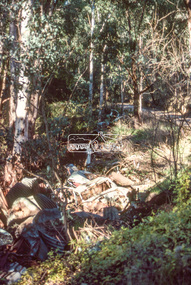 Slide - Photograph, Unidentified rural scene, possibly Research / Kangaroo Ground district, c.May 1988