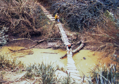 Slide - Photograph, Old footbridge, Gum Glade, Eltham, c.Sep. 1989