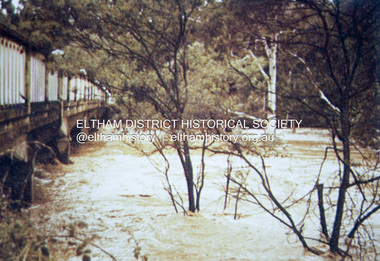 Slide - Photograph, 1934 flood, Eltham South, c.Sep. 1989