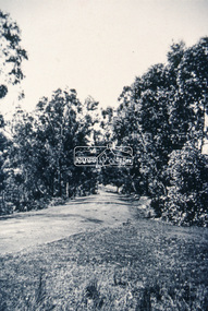 Slide - Photograph, Main Road, Eltham, c.1910, c.Aug. 1990