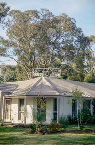 Slide - Photograph, Unidentified significant tree, Eltham district, possibly Lower Plenty, c.1992