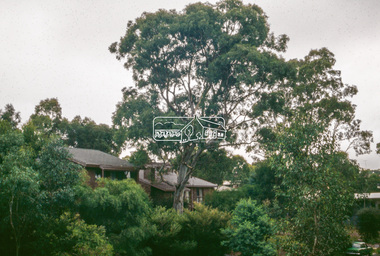 Slide - Photograph, Unidentified significant tree, Eltham district, c.Apr. 1993