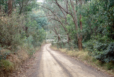 Slide - Photograph, Unidentified location, Eltham district, 1993