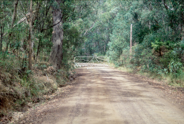 Slide - Photograph, Unidentified location, Eltham district, 1993