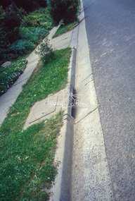 Slide - Photograph, Unidentified location, Eltham district, 1993