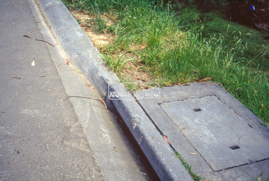 Slide - Photograph, Unidentified location, Eltham district, 1993