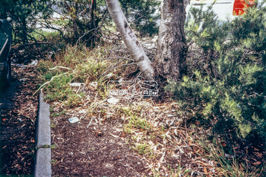Photograph - Colour Print, Eltham Shire Council, Litter, Luck Street, Eltham, c.1988