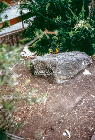 Photograph - Colour Print, Eltham Shire Council, Litter near entrance ramp to old Woolworths/Coles store in Eltham Village, c.1988