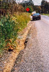 Photograph - Colour Print, Eltham Shire Council, Roadside verge issue, unidentified road, Eltham diistrict, c.1990