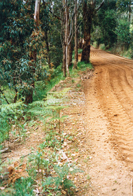 Photograph - Colour Print, Eltham Shire Council, Council oerations road grading and gravel water truck, c.1990
