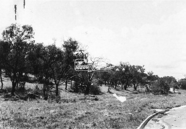 Photograph - Black and White Print, Unidentified road, Eltham district, possibly Montmorency, c. Sep. 1966
