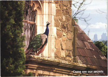 Postcard - Photograph, Nillumbik Tourism Association, Come see our secrets: Eltham, c.2010