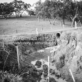 Negative - Photograph, J.A. McDonald, Dixons Creek, Sep. 1955