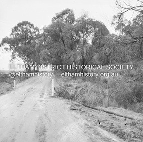 Negative - Photograph, J.A. McDonald, Healesville-Yarra Glen Road, c.1957