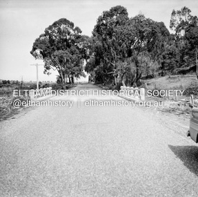 Negative - Photograph, J.A. McDonald, Healesville-Yarra Glen Road, Sep 1959