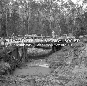 Negative - Photograph, J.A. McDonald, Heidelberg-Kinglake Road, Oct. 1959