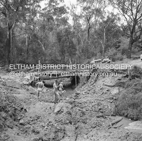 Negative - Photograph, J.A. McDonald, Heidelberg-Kinglake Road, 3 Nov. 1959