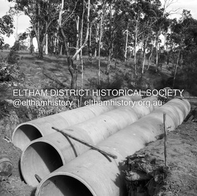 Negative - Photograph, J.A. McDonald, Heidelberg-Kinglake Road, Mar. 1960