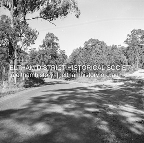 Negative - Photograph, J.A. McDonald, Heidelberg-Kinglake Road, Mar. 1960