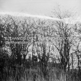 Negative - Photograph, J.A. McDonald, Kangaroo Ground-Queenstown Road, Aug. 1960