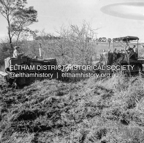 Negative - Photograph, J.A. McDonald, Kangaroo Ground-Queenstown Road, Aug. 1960