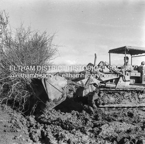 Negative - Photograph, J.A. McDonald, Kangaroo Ground-Queenstown Road, Aug. 1960