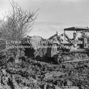 Negative - Photograph, J.A. McDonald, Kangaroo Ground-Queenstown Road, Aug. 1960