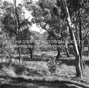 Negative - Photograph, J.A. McDonald, Rattray Road East, Montmorency, 1 May 1961