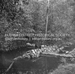 Negative - Photograph, J.A. McDonald, Hurstbridge Water Scheme, 11 May 1961