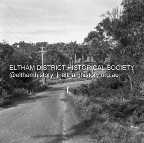 Negative - Photograph, J.A. McDonald, Heidelberg-Kinglake Road, 11 May 1961