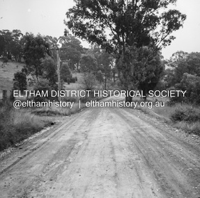 Negative - Photograph, J.A. McDonald, General; Shire Offices, 1959