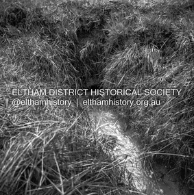 Negative - Photograph, J.A. McDonald, Fordhams Road, Eltham, 24 July 1962