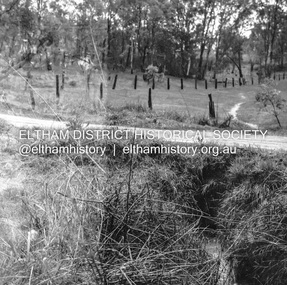 Negative - Photograph, J.A. McDonald, Fordhams Road, Eltham, 24 July 1962